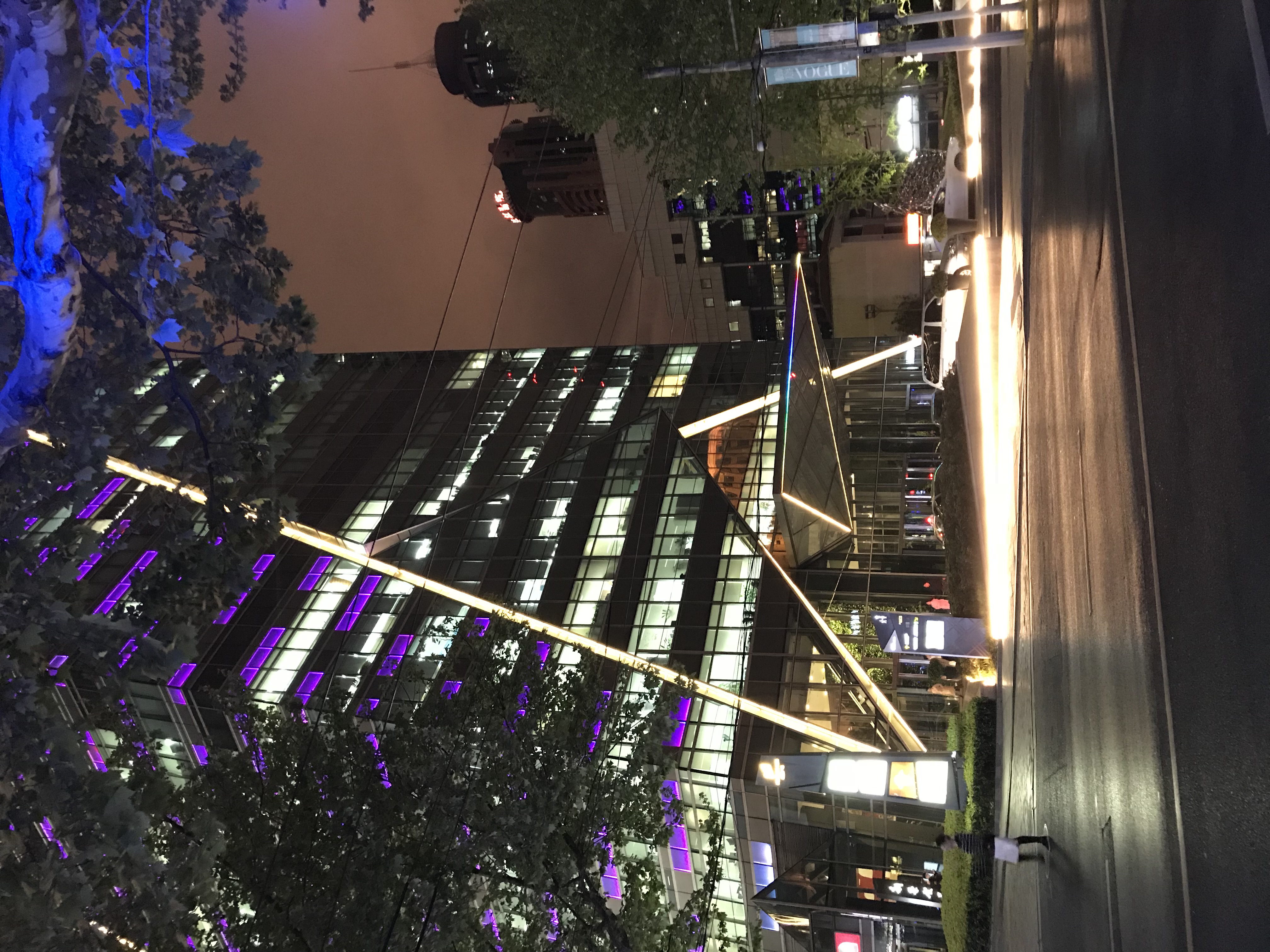 ./2018/03 - Viking China/22 - Shanghai Day 1/IMG_9948.JPG